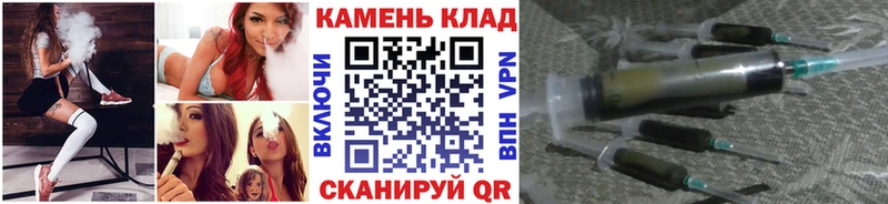 как найти наркотики  Гвардейск  kraken   Гашиш Cannabis 