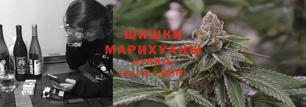 соль ск Белокуриха
