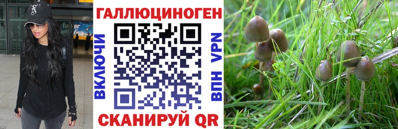 Галлюциногенные грибы GOLDEN TEACHER  Гвардейск 